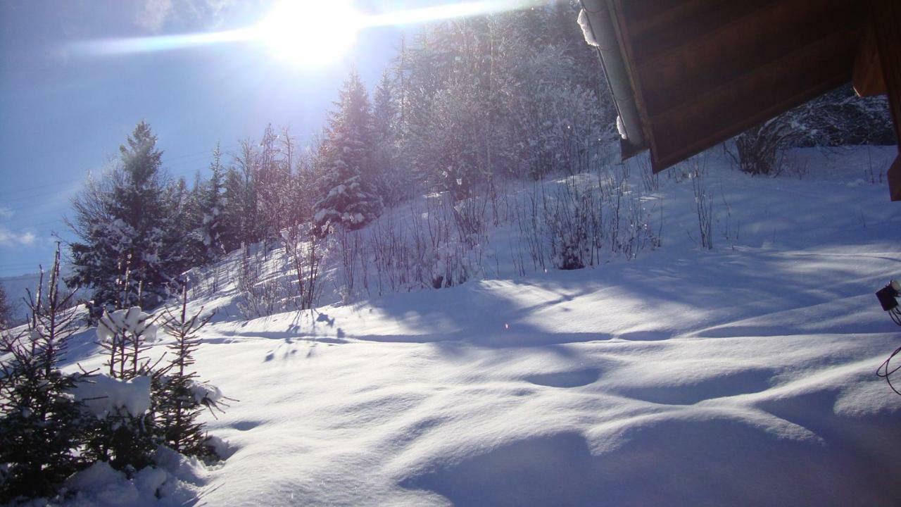 Chalet Miravidi, Montchavin-La Plagne, Jacuzzi & Sauna מראה חיצוני תמונה